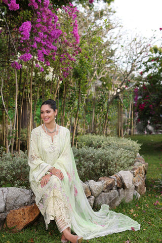 D11-B Mint Schifli | 3PC Unstitched Luxury Chikankari Lawn Noor By Sadia Asad