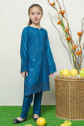 SHK 1705 - Dosti Winter Karandi 2 Pc Stitched - Ready To Wear
