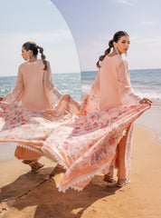 2A | NORA | 3PC Unstitched Luxury Chikankari By Zainab Chottani