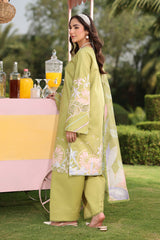 3-PC Unstitched Embroidered Lawn Lifestyle By Rang Rasiya | Elysia
