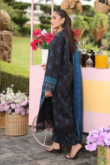 3-PC Unstitched Embroidered Lawn Lifestyle By Rang Rasiya | Ushna