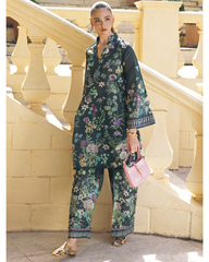 2-PC Stitched Printed Lawn Ready To Wear By Elaf Premium | EPV-4B