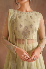 3-PC Unstitched Embroidered Net Chinon Chiffon By Iznik | CC-73