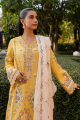 3 PC Unstitched Embroidered Lawn Qline By Qalamkar | QM-10 Olena