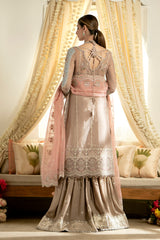 DN-08 Inayaa - دلناز Wedding Formals 23 By Qalamkar