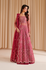 3-PC Unstitched Embroidered Net Chinon Chiffon By Iznik | CC-72