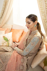 DN-08 Inayaa - دلناز Wedding Formals 23 By Qalamkar