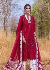 Unstitched 3-PC Luxury Lawn Silk Dupatta By Saira Shakira | SHAMS-A