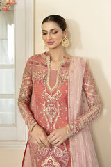 DN-05 Samara - دلناز Wedding Formals 23 By Qalamkar