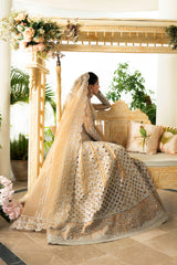 DN-01 Imaan - دلناز Wedding Formals 23 By Qalamkar