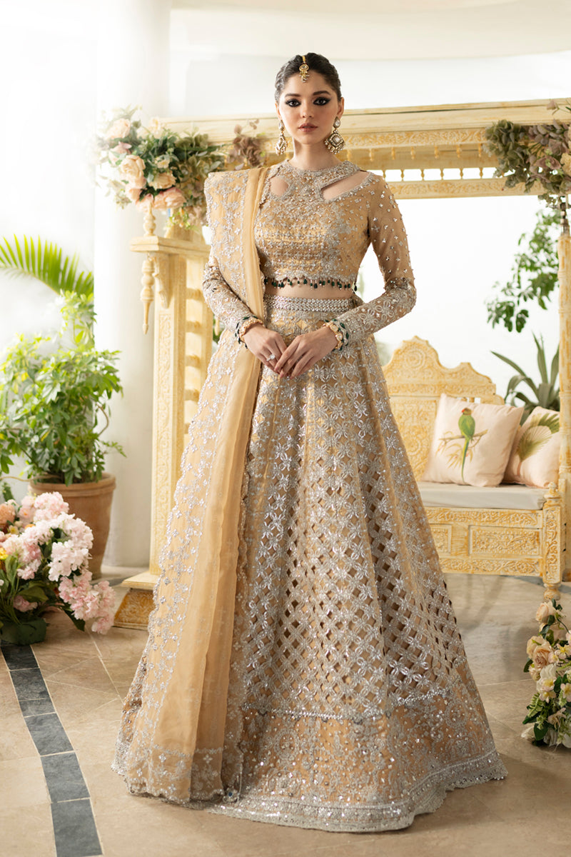 DN-01 Imaan - دلناز Wedding Formals 23 By Qalamkar