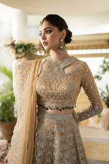 DN-01 Imaan - دلناز Wedding Formals 23 By Qalamkar