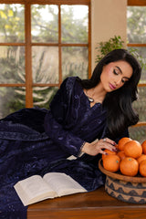 NE-124 | 3Pc Luxury Unstitched Velvet Shawl Collection Exclusive By Nureh