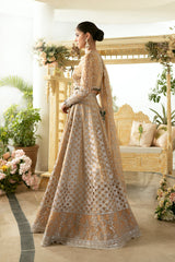 DN-01 Imaan - دلناز Wedding Formals 23 By Qalamkar