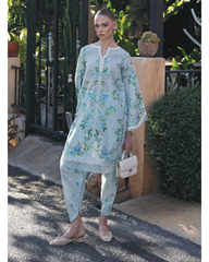 2-PC Stitched Printed Lawn Ready To Wear By Elaf Premium | EPV-3B