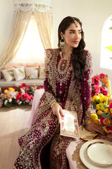 DN-07 Aleena - دلناز Wedding Formals 23 By Qalamkar