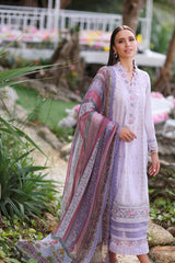 D3 A - Summer Luxe Printkari 24 Noor By Sadia Asad