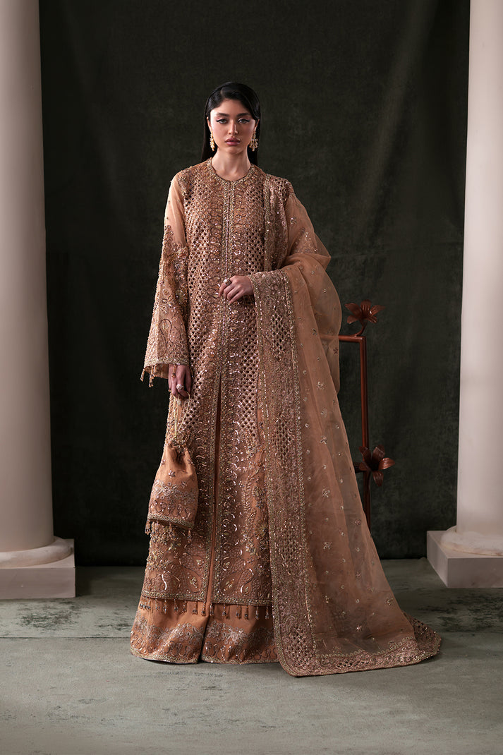 Hand-Embroidered Paneled Organza 3-Piece Suit with Pouch Hessonite By Eman  Adeel