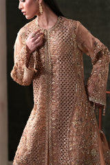 Hand-Embroidered Paneled Organza 3-Piece Suit with Pouch Hessonite By Eman  Adeel