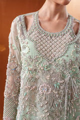 Luxury Hand-Embroidered Paneled Organza 3-Piece Suit with Pouch Moonstone Gleam By Eman  Adeel