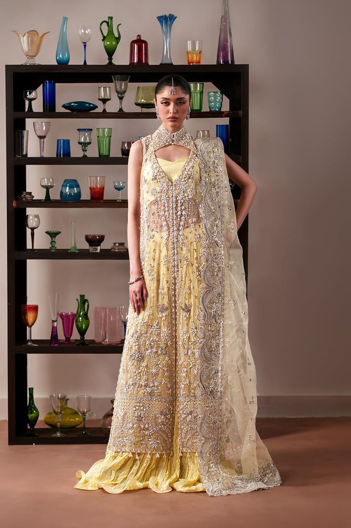 Luxury Embroidered Organza Paneled Formal Suit with Pouch Lemon Quartz By Eman  Adeel