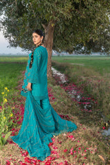 4-PC Unstitched Chikankari Embroidered Lawn Sajal By Wania | WL-68