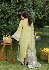 3-PC Unstitched Embroidered Luxury Lawn By Elaf Premium | ELY-08