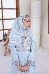 3-PC Stitched Embroidered Javari Net Saheli By Suntex Fabrics | Light Grey