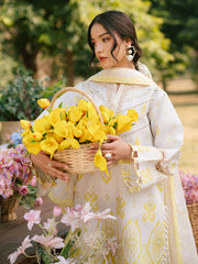 IVY-03 | 3Pc Unstitched Suit Printkari Lawn IVY Bloom By Parishay