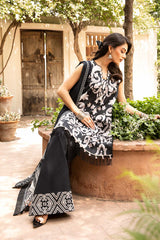 3-PC Unsititched Embroidered Lawn By Mbasics | MB-CUS25-904B