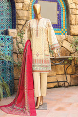 SMLF-673-Skin | 3PC Stitched Basic Lawn By Bin Saeed