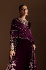 Dyed Plain Embroidered Velvet 3pcs Suit By IZNIK