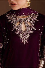 Dyed Plain Embroidered Velvet 3pcs Suit By IZNIK