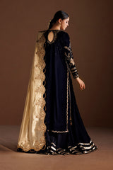 Embroidered Velvet & Organza 3pcs Suit By IZNIK
