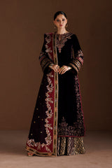 Embroidered Velvet  3pcs Suit By IZNIK