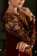Embroidered Velvet & Organza 3pcs Suit By IZNIK