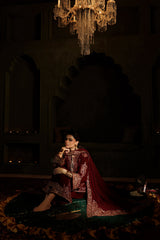 Embroidered Velvet & Organza 3pcs Suit By IZNIK
