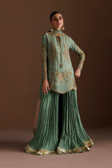 Embroidered Velvet & Organza 3pcs Suit By IZNIK