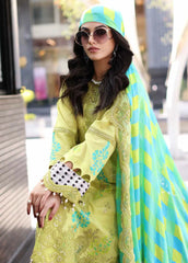 CRB4-16 | 3PC Unstitched Embroidered Lawn Spring Collection Rang-E-Bahar By Charizma