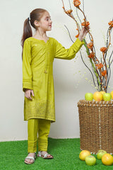 SHK 1704 - Dosti Winter Karandi 2 Pc Stitched - Ready To Wear