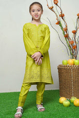 SHK 1704 - Dosti Winter Karandi 2 Pc Stitched - Ready To Wear